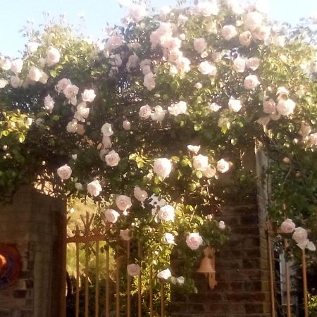 La Grille Fleurie, Chambres D'Hote Chez L'Habitant Arthonnay Dış mekan fotoğraf